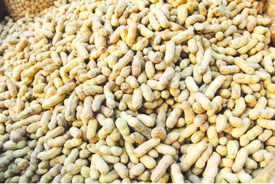 వేరుశనగ సబ్సిడీ ఖరారు అనంతపురం ప్రతినిధి : వేరుశనగ విత్తనకాయల సబ్సిడీని ప్రభుత్వం ఖరారు చేసింది. సాధారణ రైతులకు 40 శాతం సబ్సిడీ ఇవ్వగా, ట్రైబల్‌ రైతులకు 90 శాతం సబ్సిడీతో ఇవ్వాలని నిర్ణయించారు. కె-6కిలో సేకరణ ధర రూ.93 కాగా, కదిరి లేపాక్షి (కె-1812) రకం రూ.83గా 