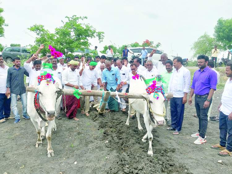    ఏరువాక సందర్భంగా పొలం దున్నుతున్న విప్‌ కాపు రామచంద్రారెడ్డి