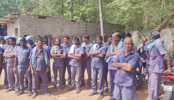 bottling-hamalis-protest-against-owner-behaviour