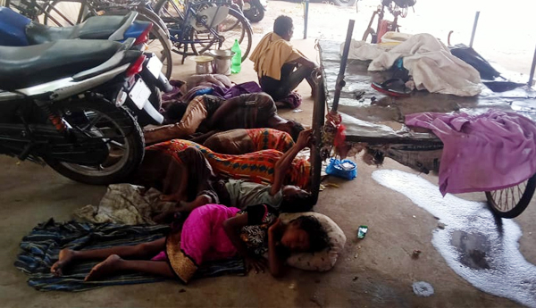 srap-collector-family-life