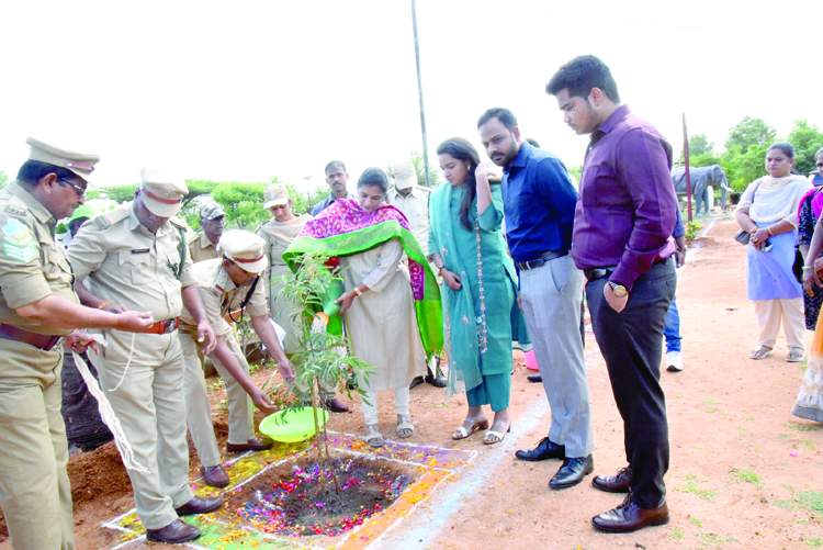 ఆత్మకూరులో మొక్క నాటి నీరు పోస్తున్న కలెక్టర్‌ ఎం.గౌతమి
