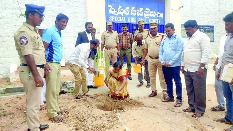    మొక్క నాటి నీరు పోస్తున్న సీనియర్‌ సివిల్‌ జడ్జి టి.హరిత