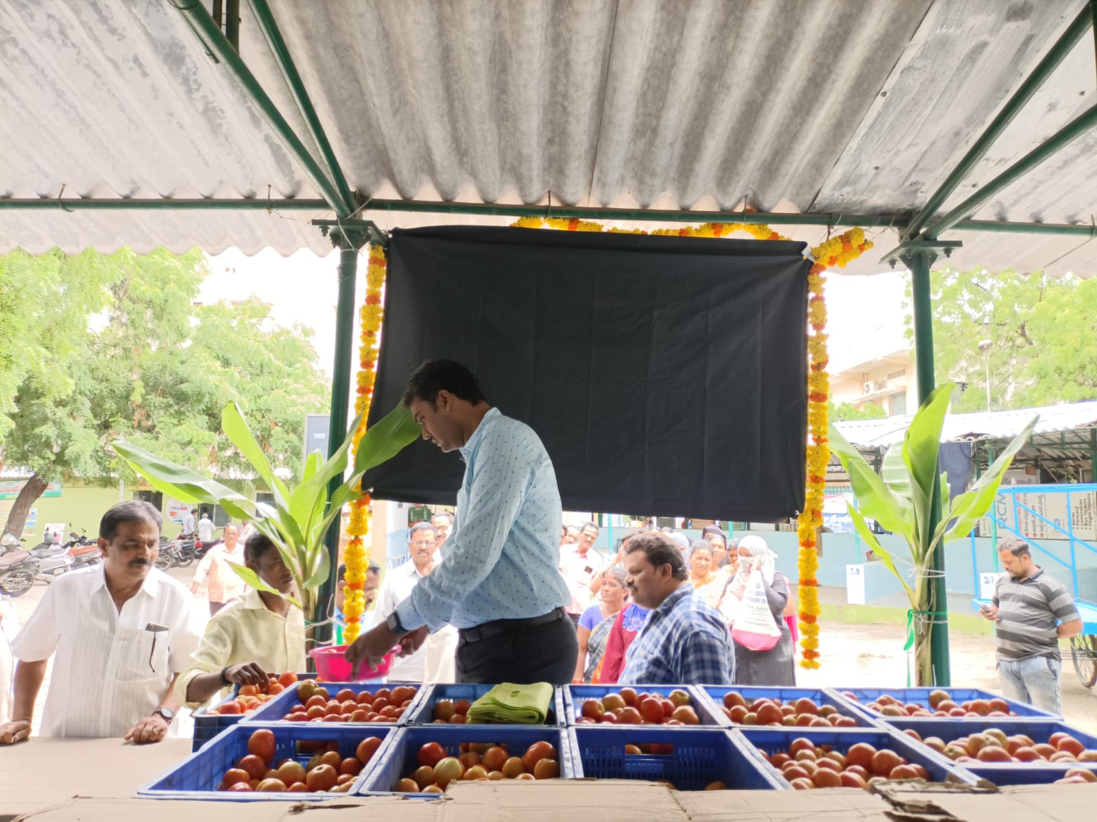 సబ్సిడీ టమోటా విక్రయ కేంద్రాన్ని ప్రారంభిస్తున్న వ్యవసాయ మార్కెటింగ్‌ శాఖ అధికారులు