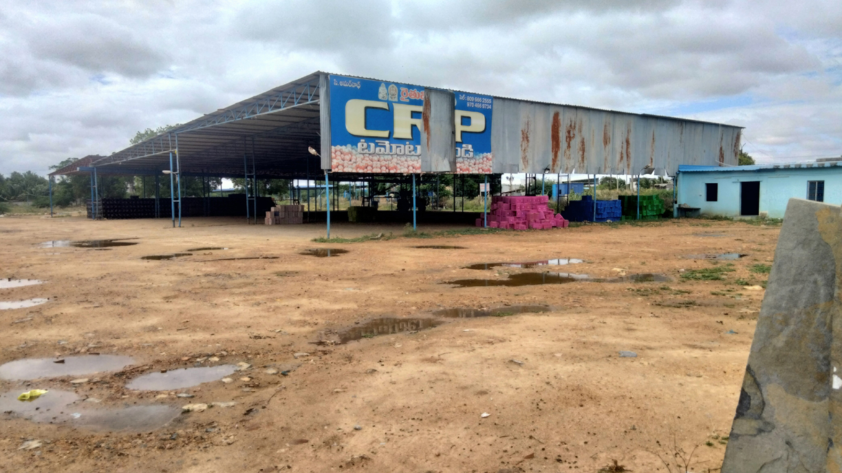 టమోటా మండీలు వెలవెల..!