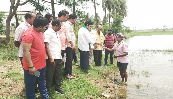 nallamilli-observe-wet-crops