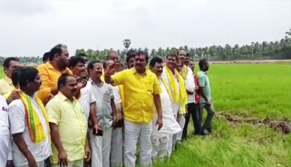 nimmala-on-medical-college