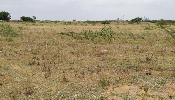 route-to-jagananna-colony