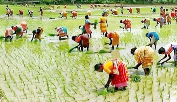 Their-knots-are-intense-in-the-mandala