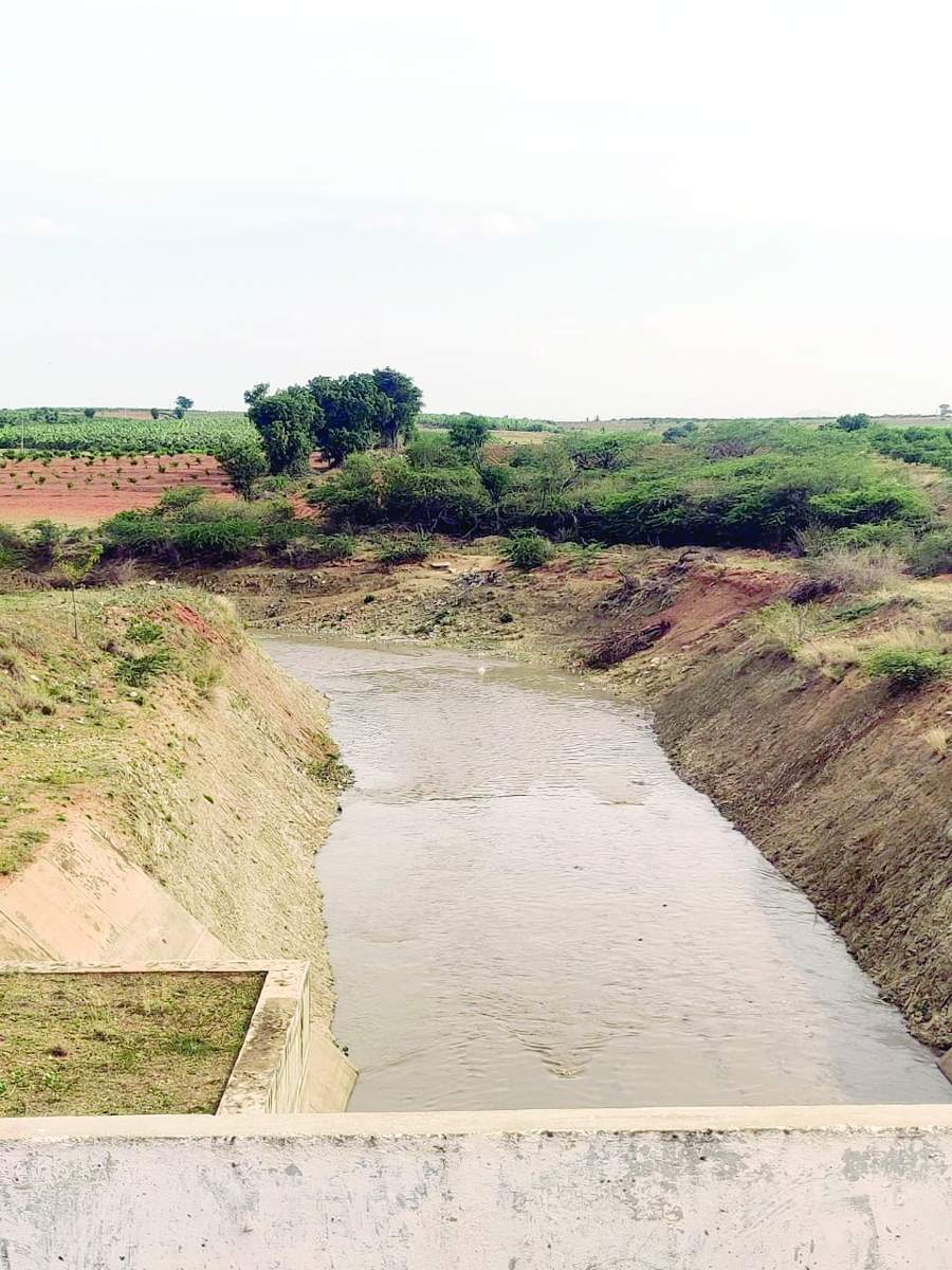 కాలువలో పరుగులు తీస్తున్న కృష్ణాజలాలు