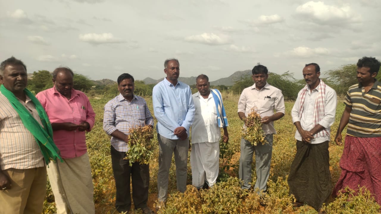 వ్యవసాయ మోటార్లకు విద్యుత్‌ ఇవ్వాలి : సిపిఎం