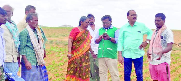    పంట నమోదును పరిశీలిస్తున్న జిల్లా వ్యవసాయ అధికారిణి ఉమామహేశ్వరమ్మ