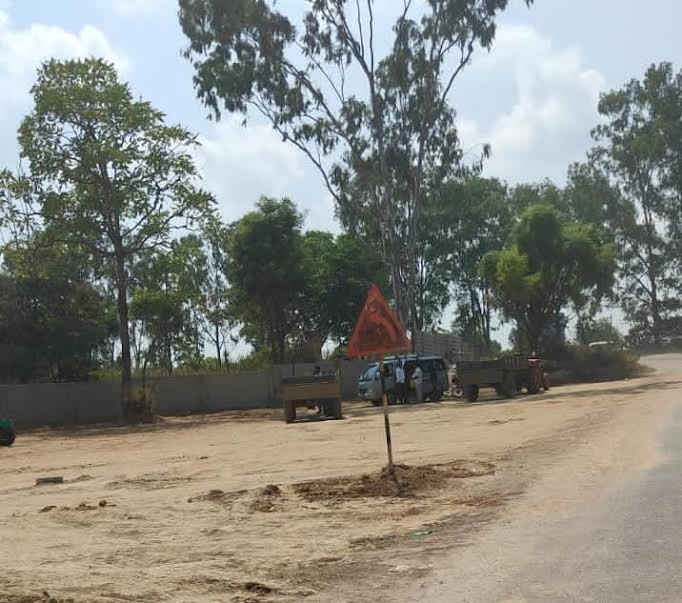  పెద్ద కర్పూరం చెట్లను రాత్రికిరాత్రే ట్రాక్టర్లు జేసిబిలతో నరికి తొలగించారు