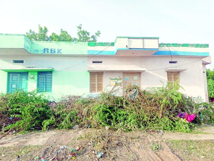    సచివాలయానికి కంప కొట్టిన దృశ్యం