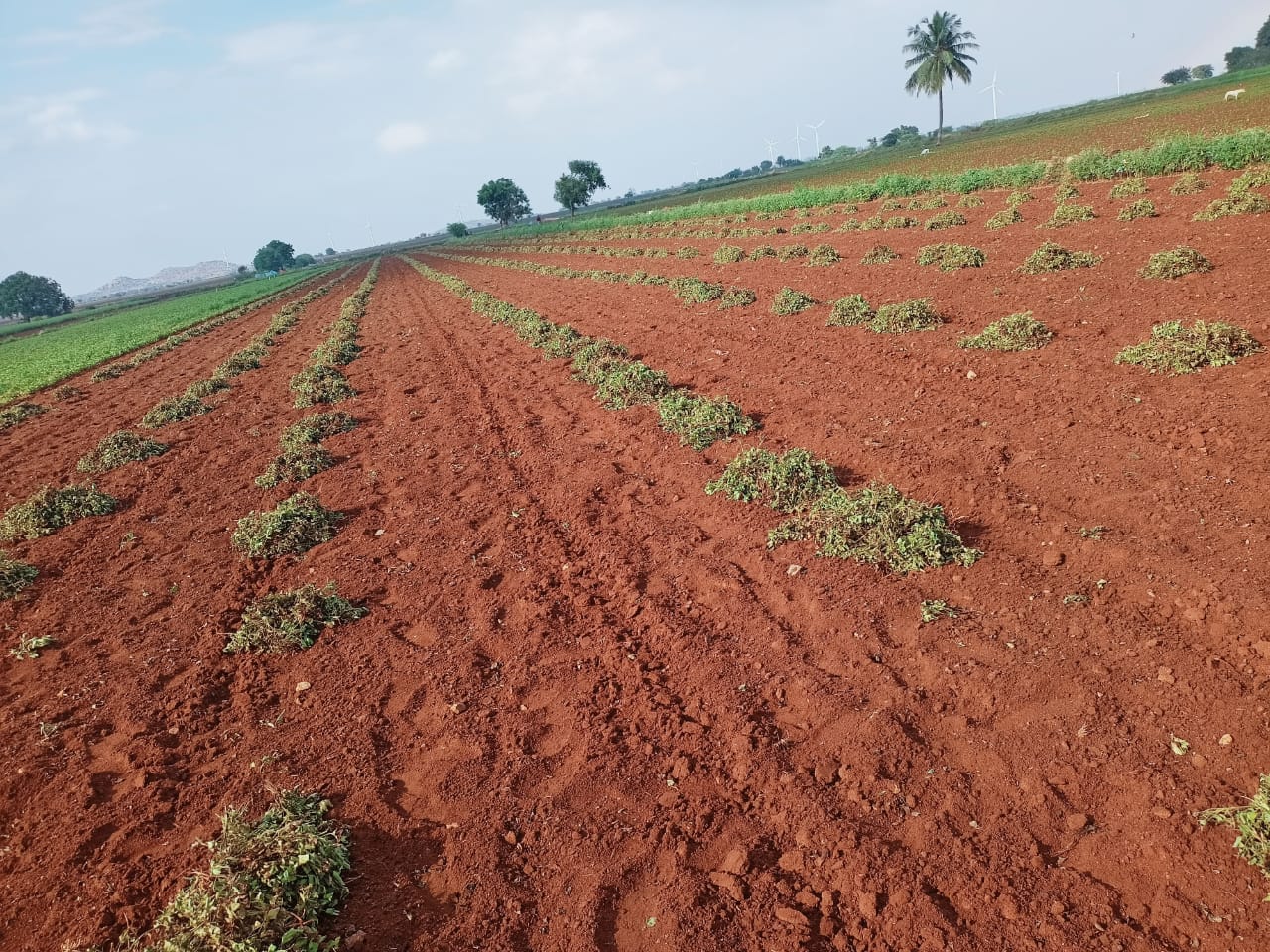 రైతుకు కన్నీటి కష్టం..!