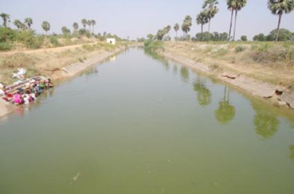 ఎట్టకేలకు ఐఎబి