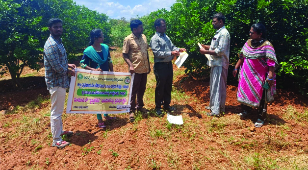 చీని , డ్రాగన్‌ ఫ్రూట్స్‌ పంటల పరిశీలన