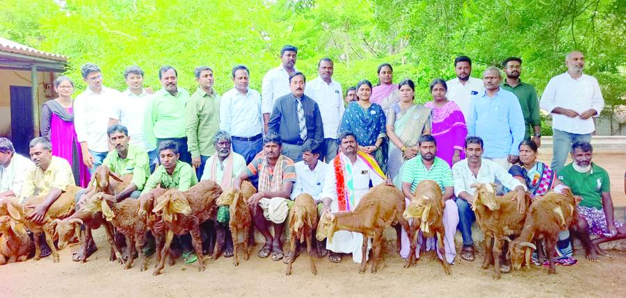  పొట్టేళ్లు పొందిన రైతులతో ఎమ్మెల్యే జొన్నలగడ్డ పద్మావతి