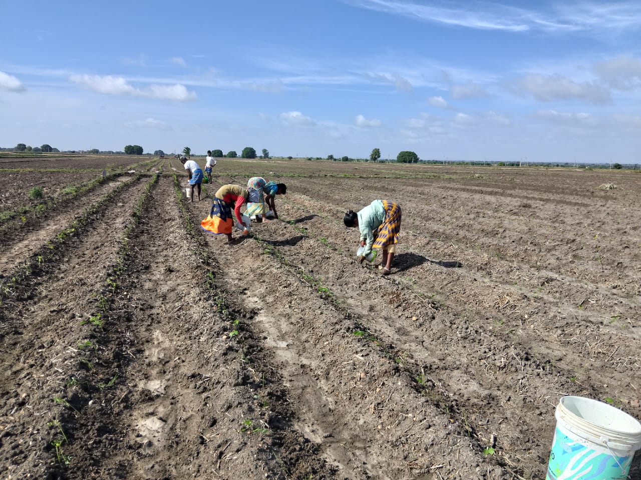 పంటకు లేదు తడి.. రైతుకంట కన్నీటి సుడి..!