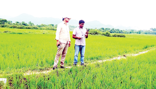 ఇ-క్రాప్‌నకు సిబ్బంది కొరత
