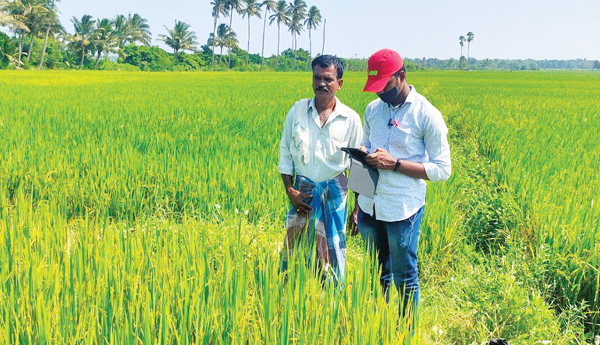 మందకొడిగా ఈ-క్రాప్‌ నమోదు