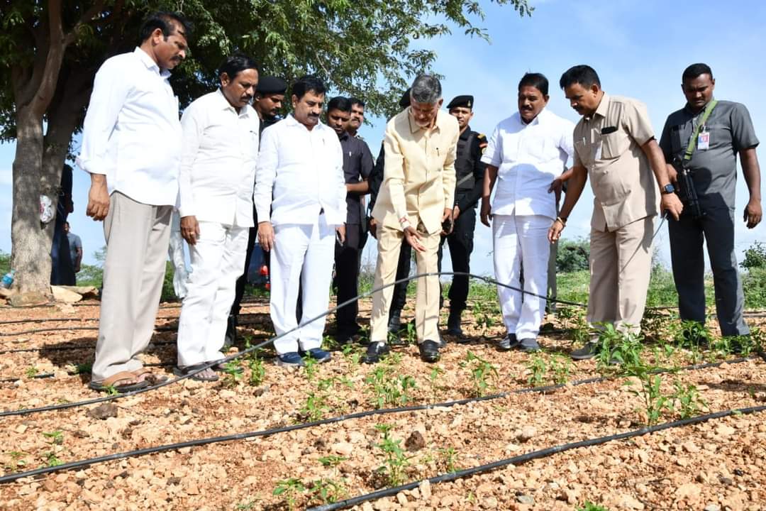 దోపిడీ పాలనను తరిమేద్దాం