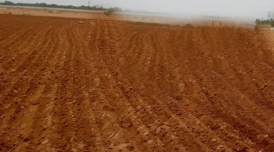 7.33 లక్షల ఎకరాలు బీడు