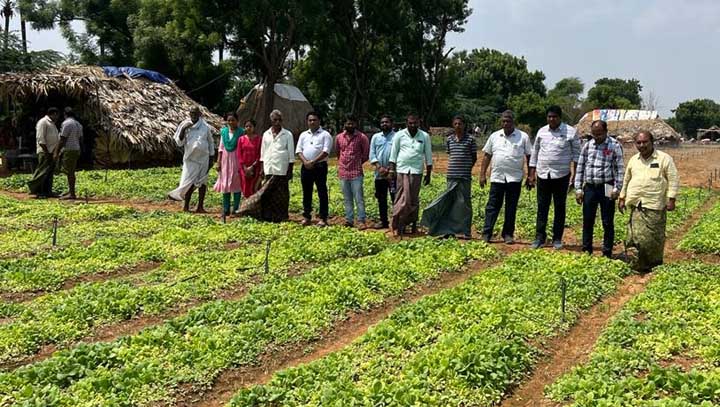 పొగాకు రైతులకు శిక్షణ