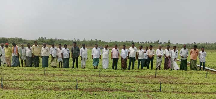 పొగాకు యజమాన్య పద్ధతులపై శిక్షణ