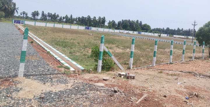 సౌత్‌ ఆములూరులో అక్రమ లే అవుట్లు