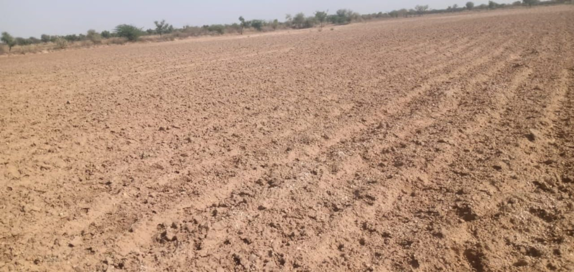 సాగు'బడి'తగ్గుతోంది..!