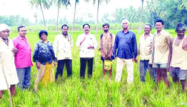అనకాపల్లిని కరువు జిల్లాగా ప్రకటించాలి