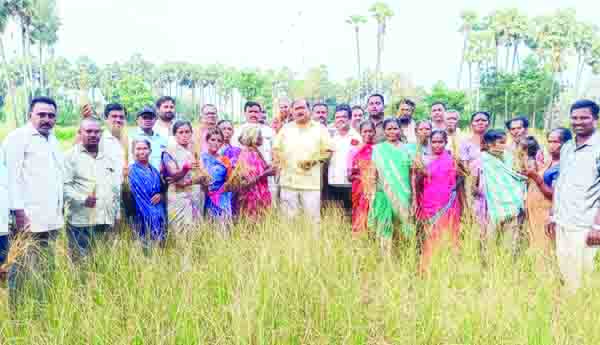 రైతులను ఆదుకోవాలి