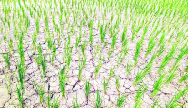ఆందోళనలో అన్నదాతలు