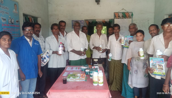 awareness-on-animal-husbendary