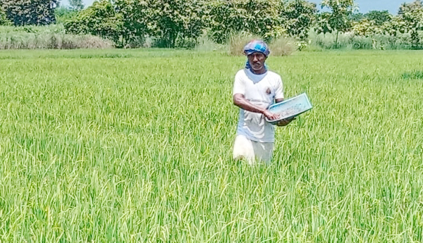 చి'వరి'కింతే