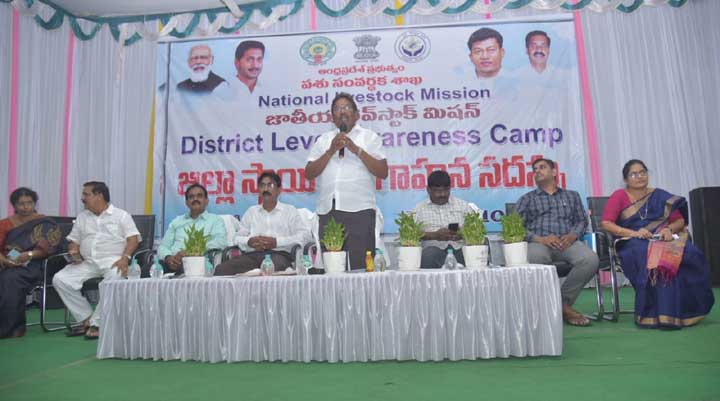 జాతీయ లైవ్‌ స్టాక్‌ మిషన్‌తో పాడి రైతుల ఆర్థికాభివృద్ధికి కృషి