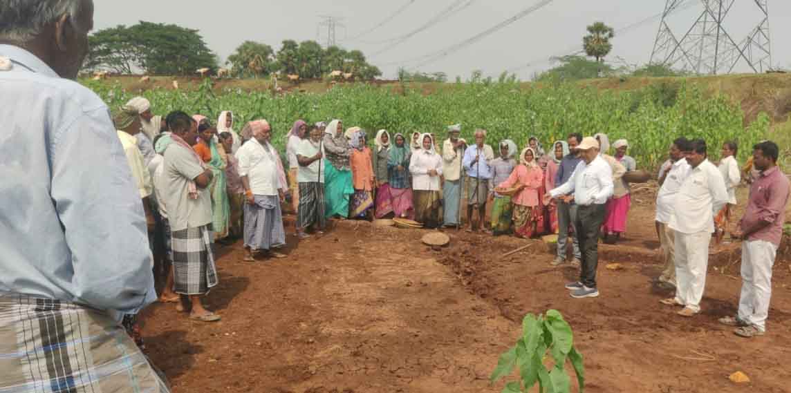'ఉపాధి' పనులు పరిశీలన