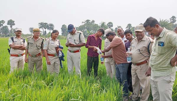 పెద్దపులి కలకలం