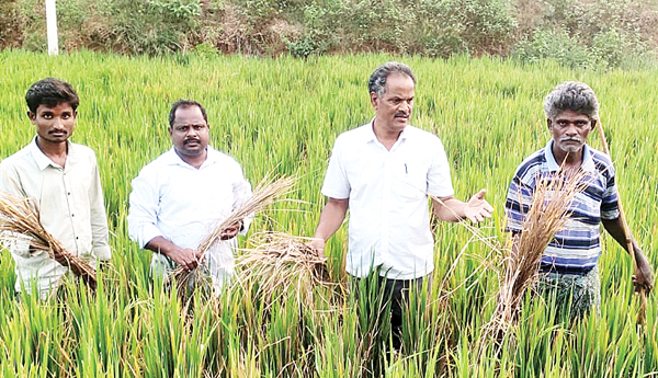 రైతాంగాన్ని ఆదుకోవాలి