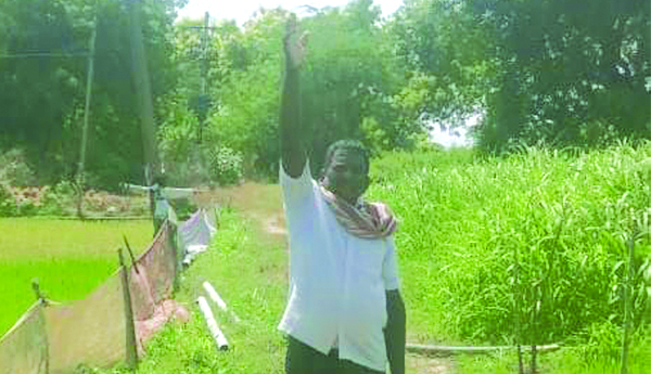 ప్రమాదకరంగా కరెంటు వైర్లు