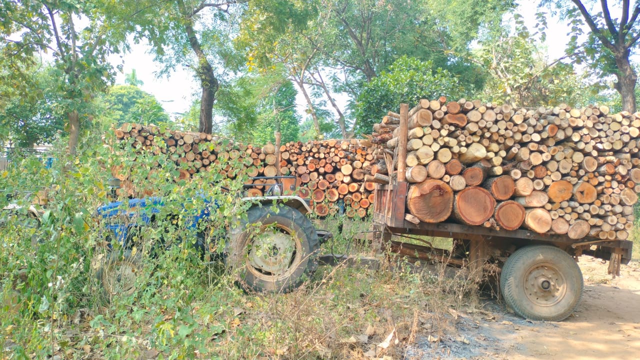 అక్రమంగా తరలిస్తున్న మారు జాతి కలప పట్టివేత