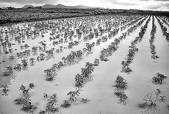 నిండా మునిగిన సీమ రైతు