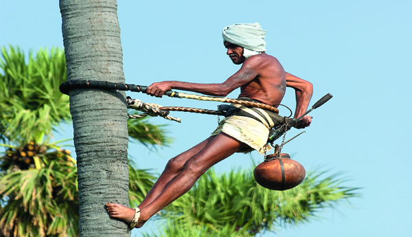 కల్లుగీత కార్పొరేషన్‌కు నిధులు కేటాయించాలి