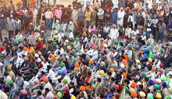 గింజ నవ్వింది