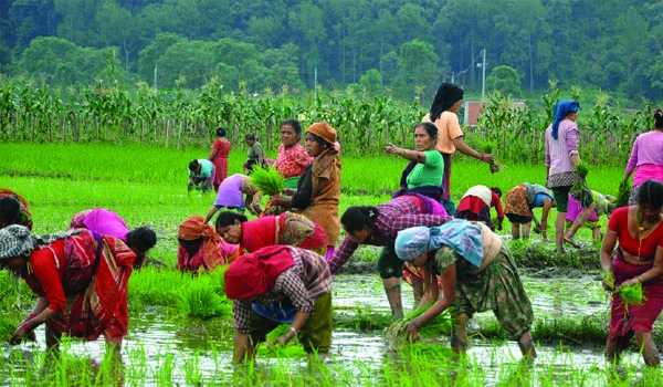 కర్షక దేవోభవ