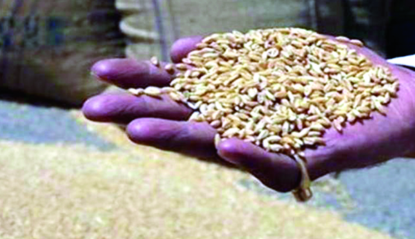 విదేశీ ఆగ్రో - బిజినెస్‌ సంస్థలనుండి రానున్న ముప్పు