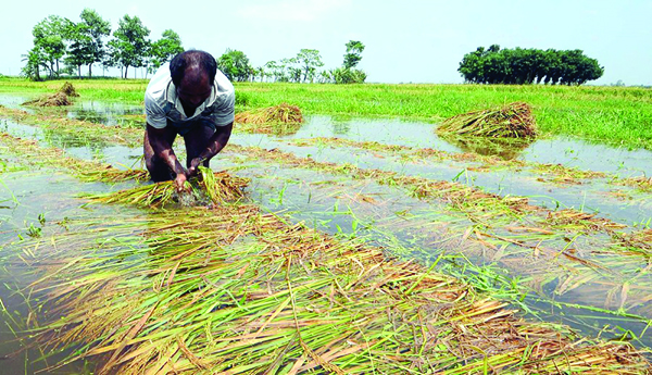 కర్షక ధీరుడు !