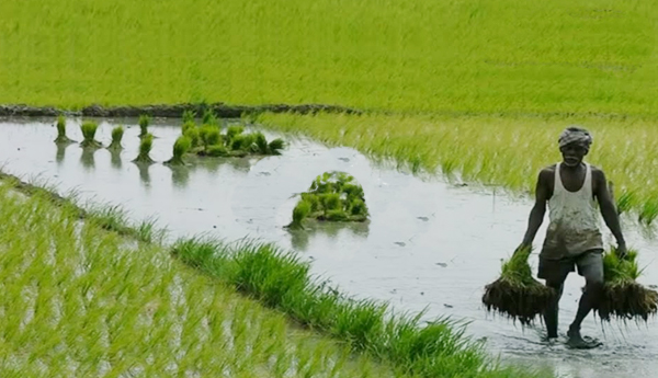 మనిషి మట్టి మనిషే!