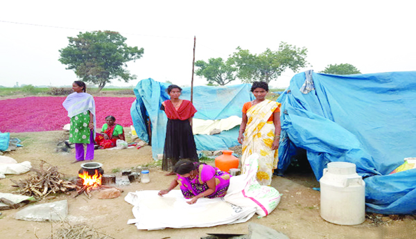 వలస కూలీ బాధలు వర్ణనాతీతం