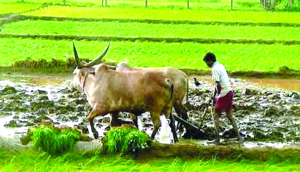 గెలవాల్సింది నేనే